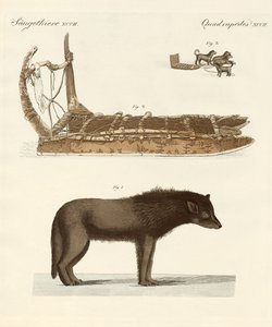 The Dog of the Baffin-Bay