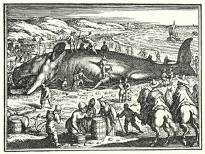The Whale of Antwerp by German School