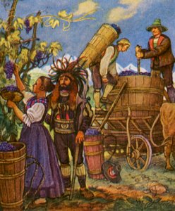 Tyrolean Grape Harvest