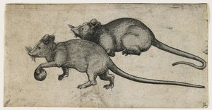 Two Mice, 1450-80 by German School