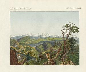 Two Views of the Himalayas by German School