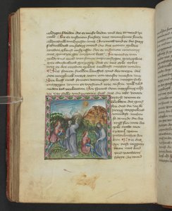 Ulrich von Pottenstein, Das Buch der natürlichen Weisheit, Egerton MS 1121 f.114v, c.1430 by German School