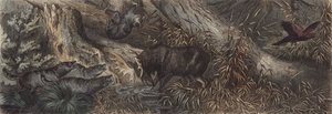 Wildlife of northern Russia by German School