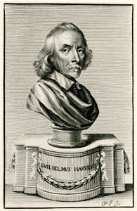 William Harvey by German School