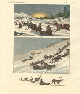 Winter trips in Lapland