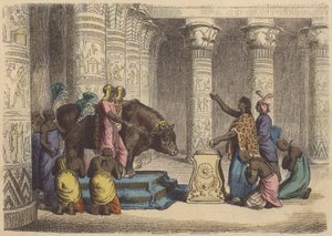 Worship of the Apis Bull in Ancient Egypt