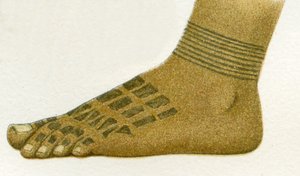 Example of Dayak Foot Tattoo Designs, Borneo, 1894