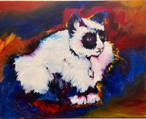 Bungee the Cat by Gerrit Greve