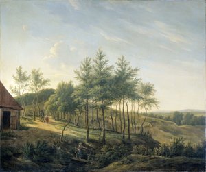 Hilly Landscape by Gerrit Jan Michaelis
