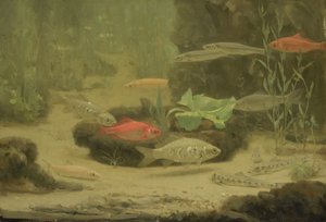 Gold and Silverfish in an Aquarium by Gerrit Willem Dijsselhof