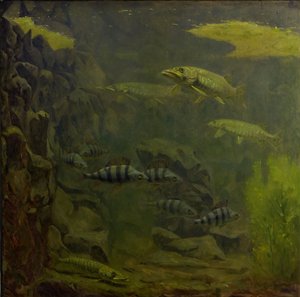 Pike and Perch in an Aquarium by Gerrit Willem Dijsselhof