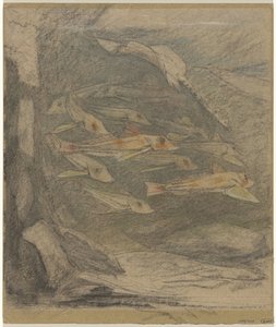 School of Poneys and a Ray by Gerrit Willem Dijsselhof