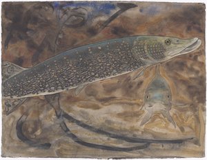 Two Pikes in an Aquarium, Seen from the Side and Front