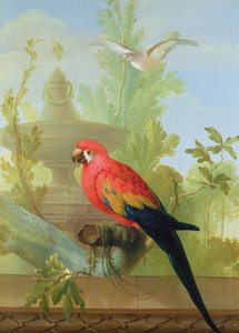 A Macaw and a Dove in an ornamental Garden, 1772 by Gerrit van den Heuvel