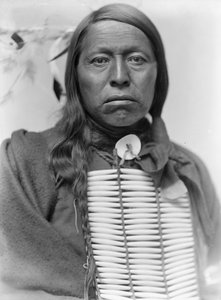 Sioux Chief Flying Hawk, c.1900 by Gertrude Käsebier