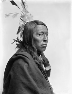 Sioux Chief Flying Hawk
