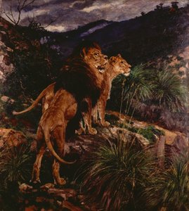 Lions Stalking by Geza Vastagh