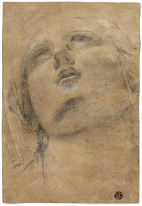 Head of the Virgin Looking Upwards by Giacomo Cavedone