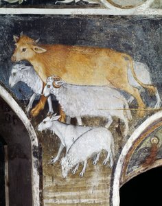Livestock Animals, Detail from Fresco by Giacomo Jaquerio, Abbey of St Anthony of Ranverso, Buttigliera Alta, Piedmont, Italy