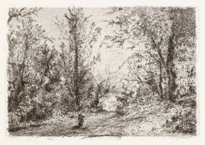 Forest on Lago Maggiore