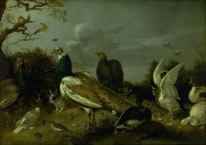 Peacocks, Ducks and other Animals by Gijsbert Gillisz. de Hondecoeter