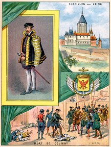 Gaspard de Coligny, Admiral of France