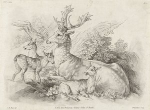 Resting Deer by Gilles Demarteau