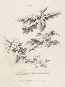 Study of Three Branches with Leaves (series title: 1st Landscape Book)
