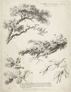 Study of Branches with Leaves (1st Book of Landscape) by Gilles Demarteau
