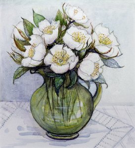 Christmas Roses, 1984
