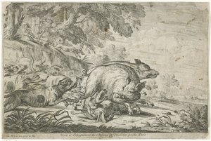 Wild Boar Hunt