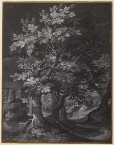 Forest Scene