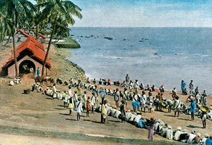 Communal village meal, Andaman and Nicobar Islands, Indian Ocean, c1890