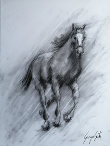 Dynamic Charcoal Horse