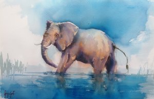 Majestic Elephant Wading