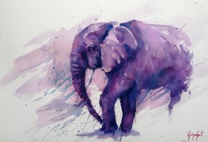 Majestic Purple Elephant