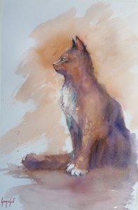 Observant Cat Profile by Giorgio Gosti