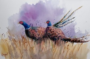 Pheasants Among Reeds
