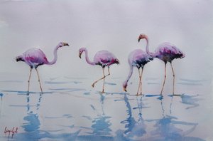 Pink Flamingos Wading by Giorgio Gosti