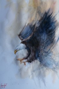 Powerful Eagle Flight by Giorgio Gosti