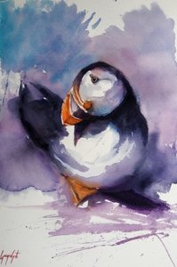 Purple Puffin Portrait by Giorgio Gosti