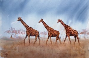 Safari Giraffe Trio by Giorgio Gosti