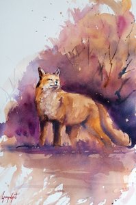 Serene Forest Fox
