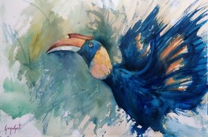 Tropical Blue Hornbill by Giorgio Gosti
