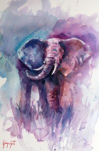 Vibrant Elephant Dream by Giorgio Gosti