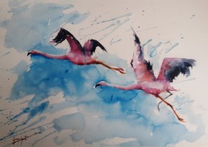Vibrant Flamingo Flight by Giorgio Gosti