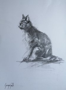 Watchful Charcoal Cat by Giorgio Gosti