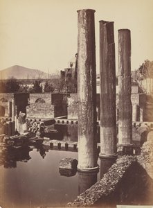 Columns by Giorgio Sommer