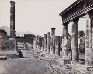 Eastern Colonnade of the Temple of Venus Pompeiiana in Pompeii by Giorgio Sommer