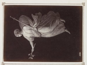Photoreproduction of (presumably) a print, depicting a female figure with a branch and a sword in hand by Giorgio Sommer